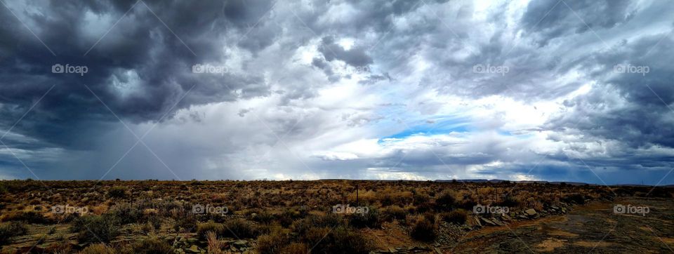 beautiful landscape. rain in the karoo. South Africa.