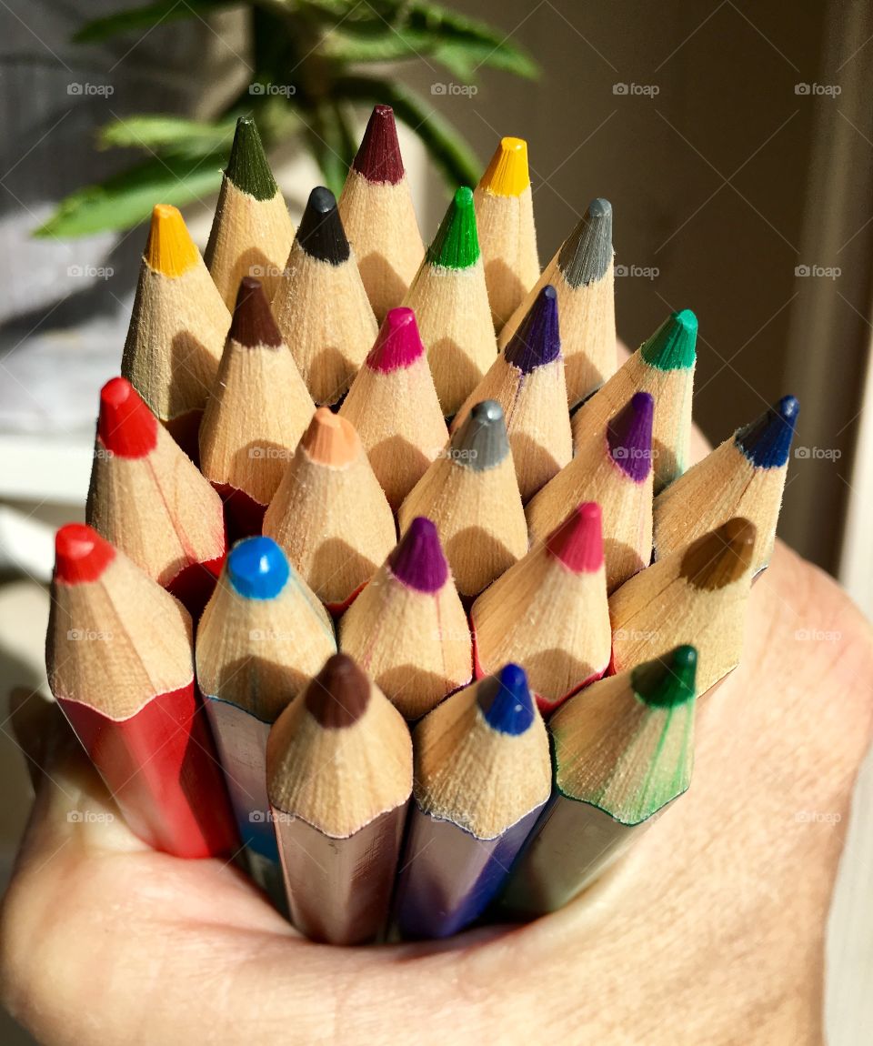 Person's hand holding bunch of colorful pencils