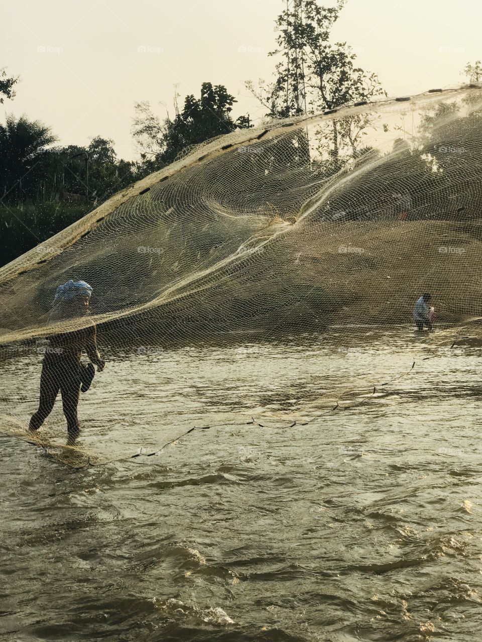 Fishermen spreads the  net for fishing 