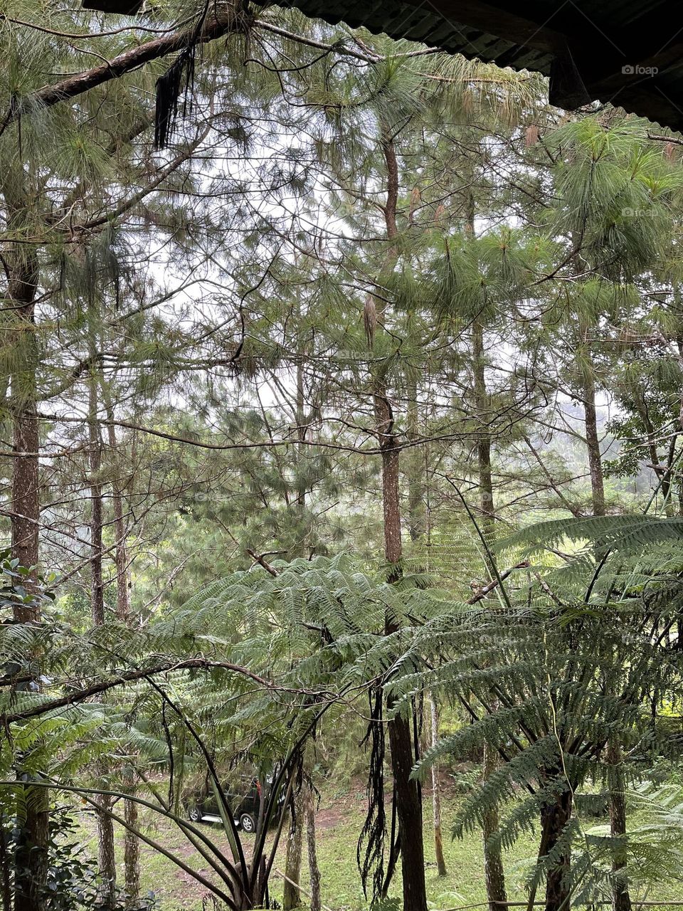 Nature is always the best.