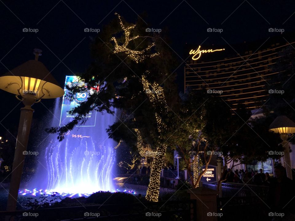 Night Is Still Young