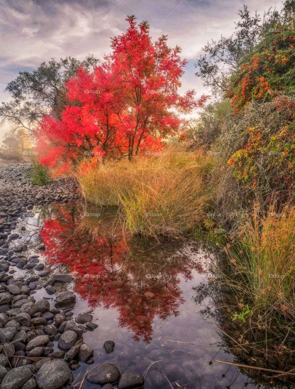 red reflection