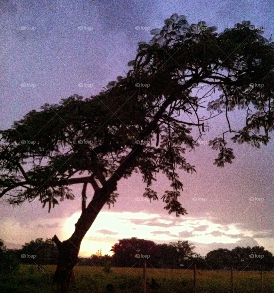 🌄🇺🇸 An extremely beautiful dawn in Jundiaí, interior of Brazil. Cheer the nature! / 🇧🇷 Um amanhecer extremamente bonito em Jundiaí, interior do Brasil. Viva a natureza! 