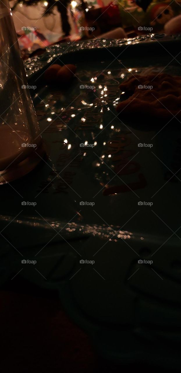 tree reflection in the dark