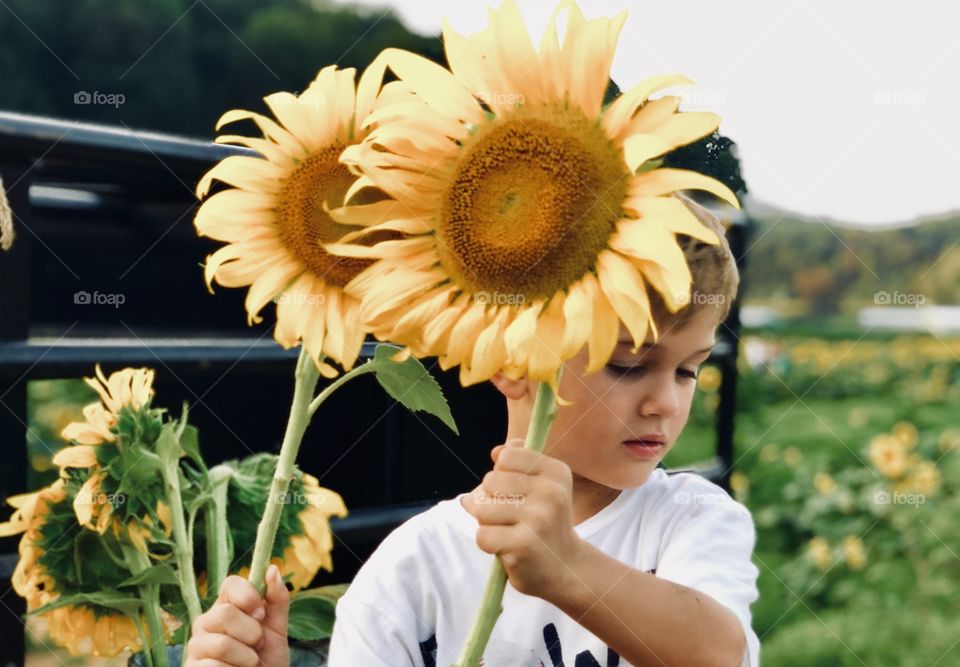 Boy with sunflowers 
