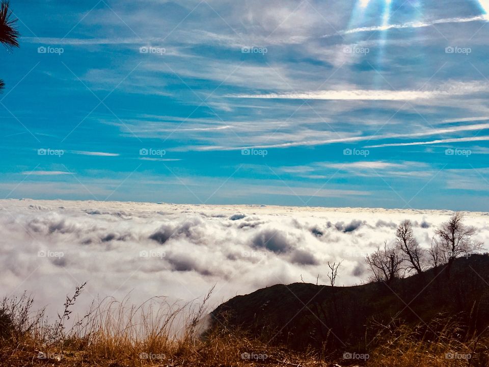 Above the Clouds ☁️ ⛅️