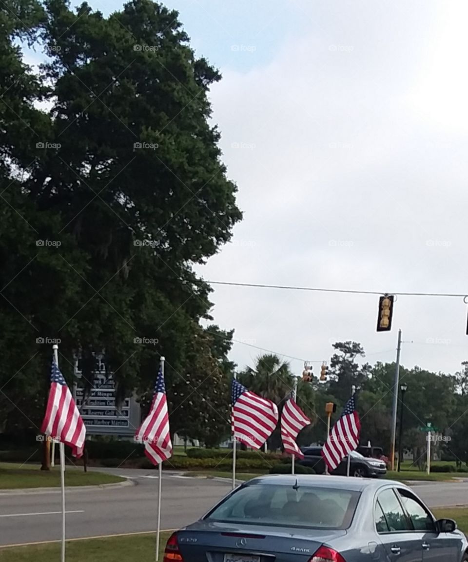 Memorial Day  a flash in time to honor the eternity of our fallen