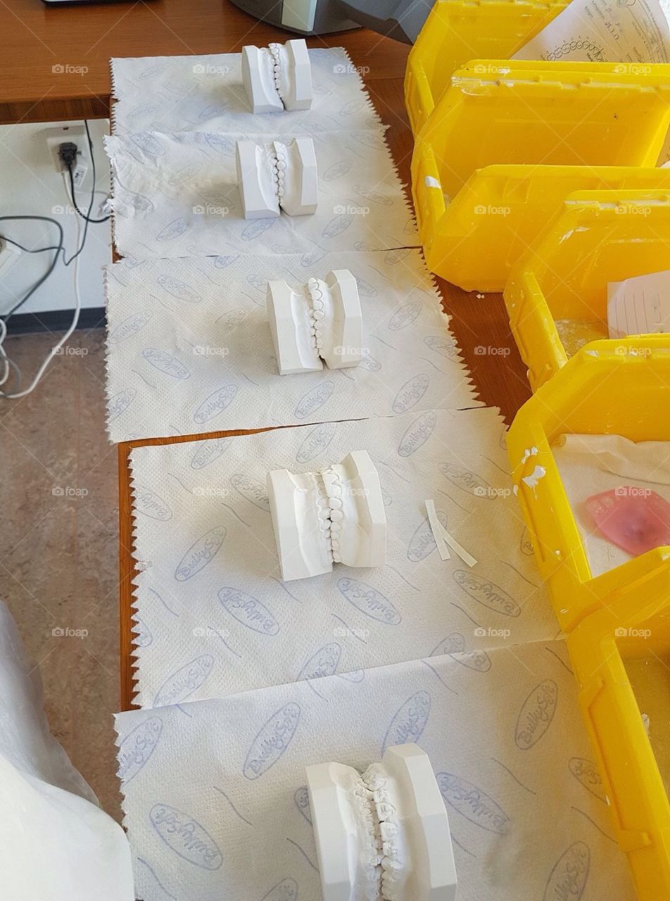 Dental prosthesis laboratory 