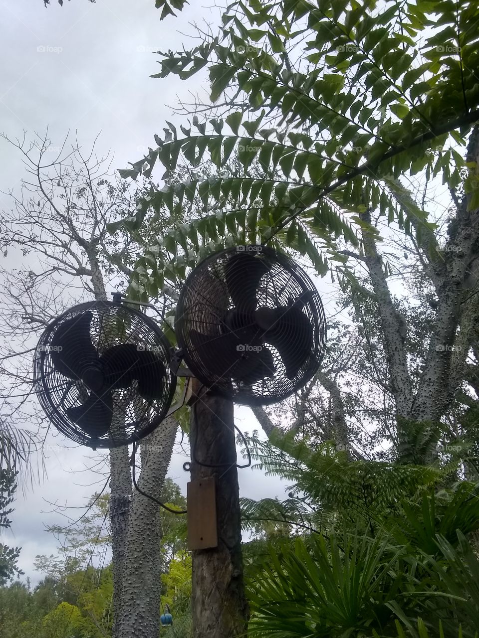 Ventiladores comuns