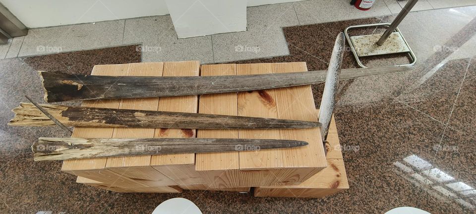 Sailfish horn bones on display at the fishing port