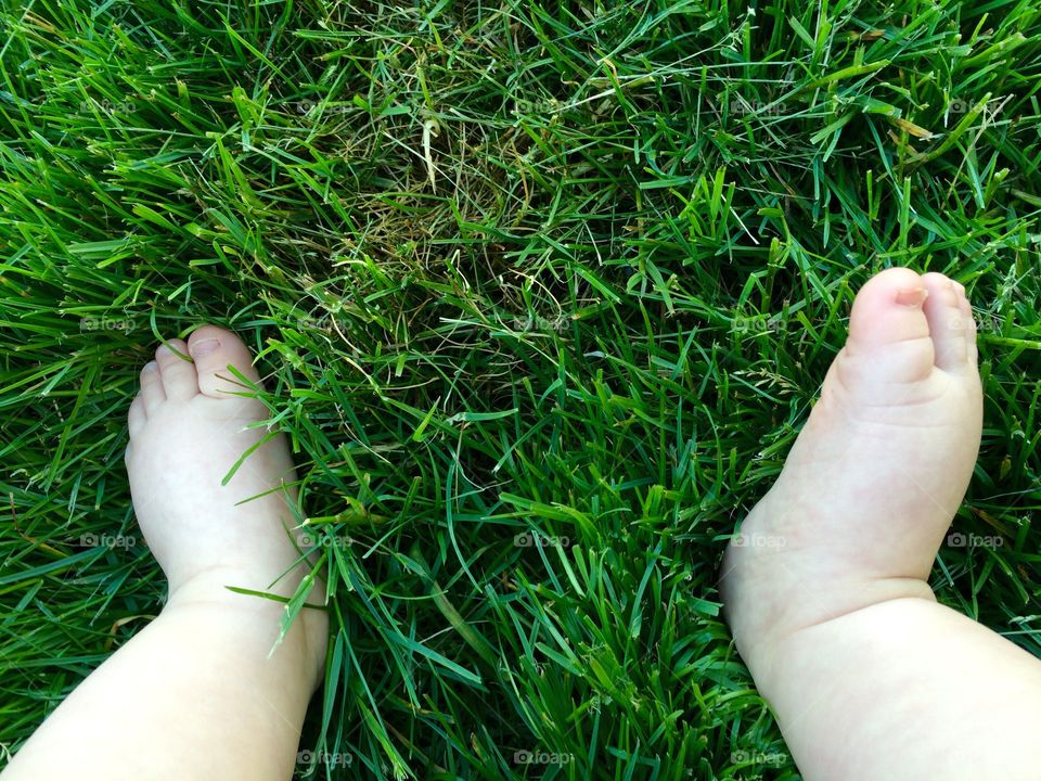 Baby feet in spring. 