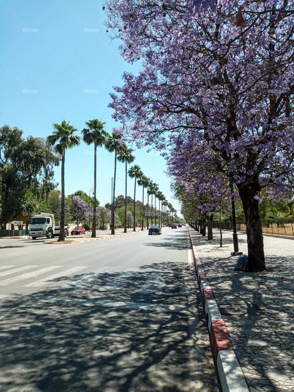 Beautiful street