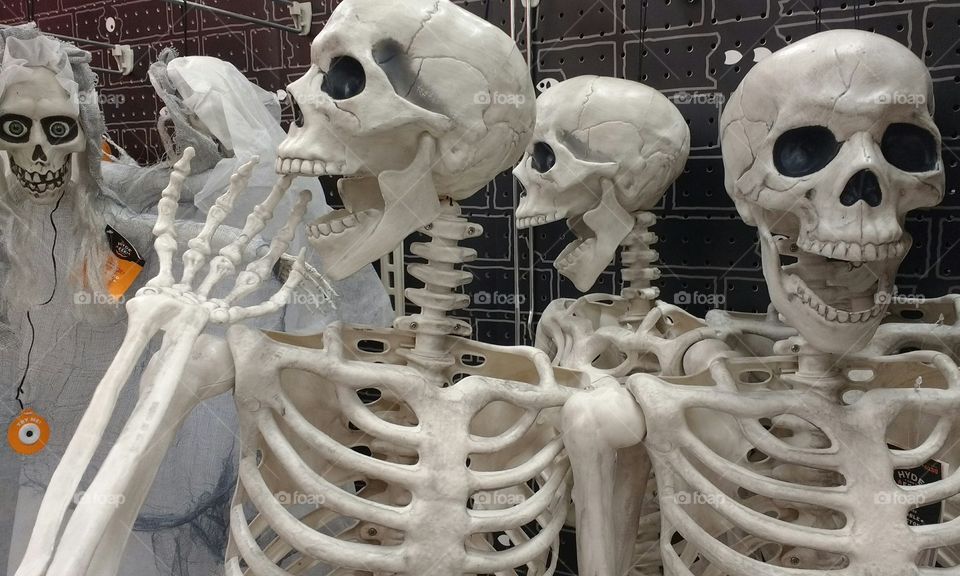 Skulls and Bones Halloween Decorations