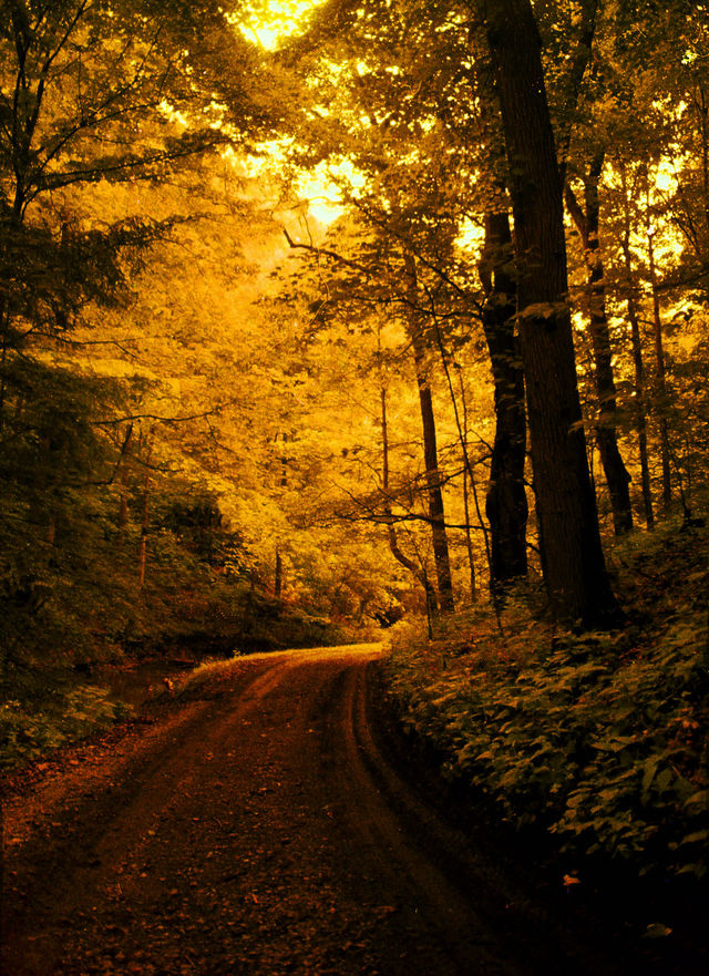 fall