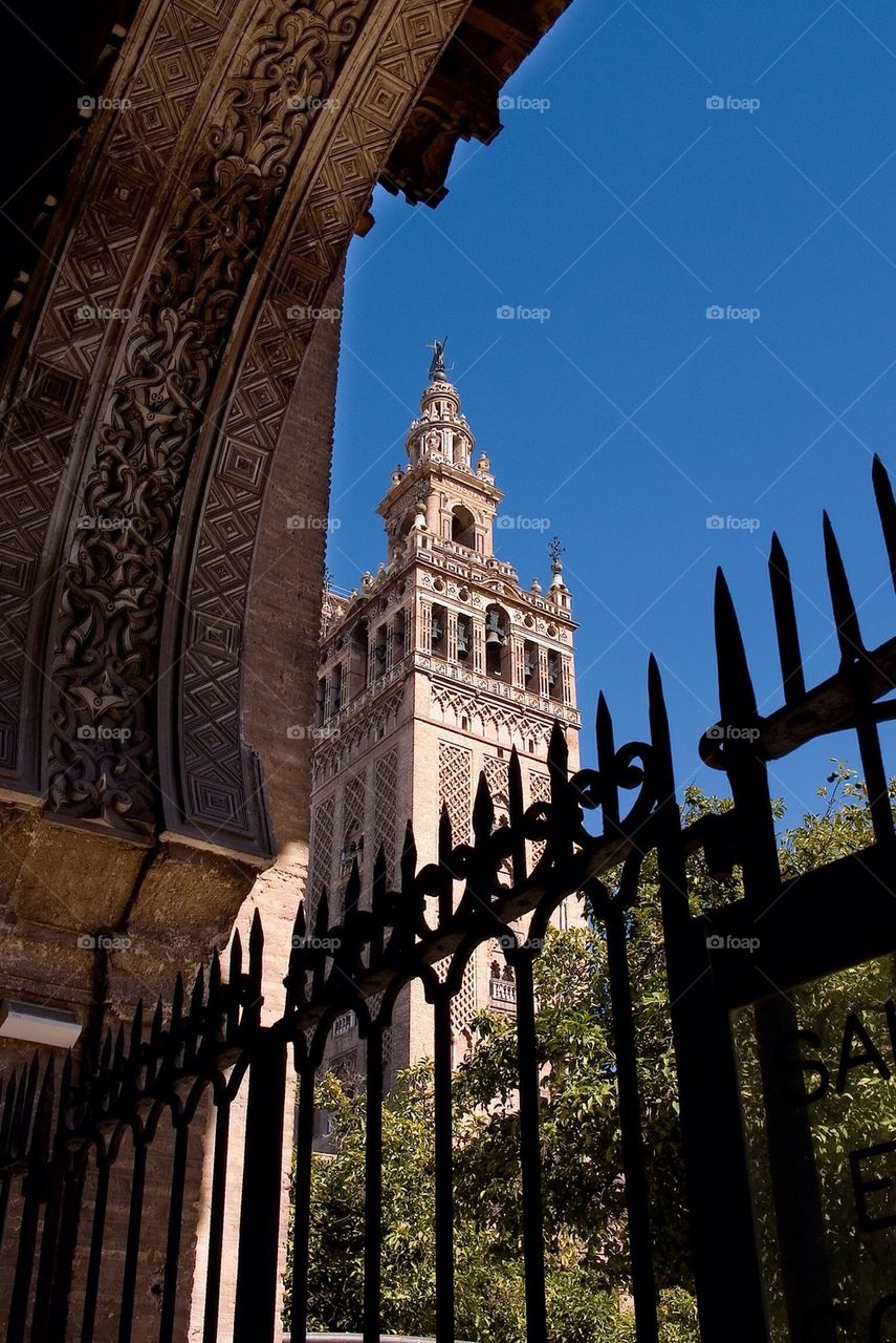 Cathedral in Seville Spain