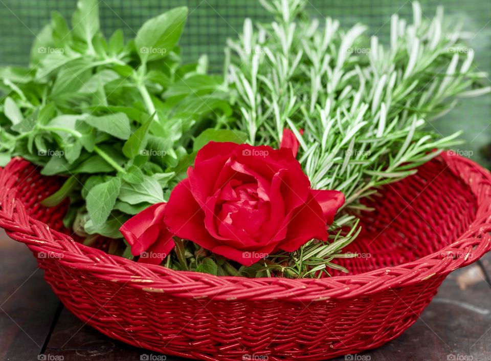 Red rose in a basket with green herbs.