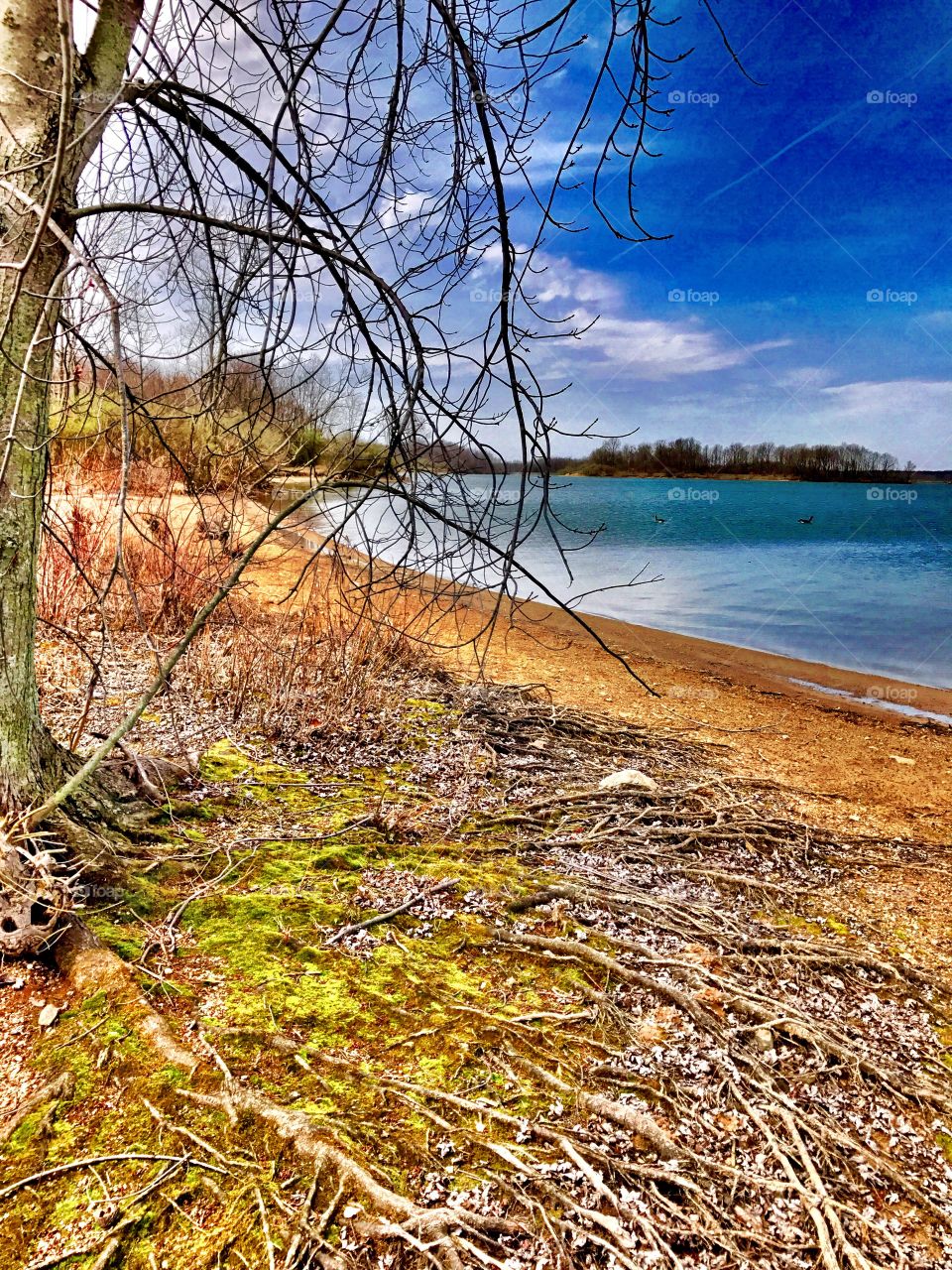 Beautiful lake views in Indiana 