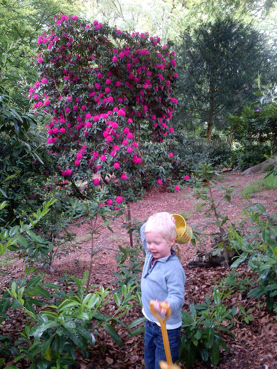 SPRINGTIME GARDENING