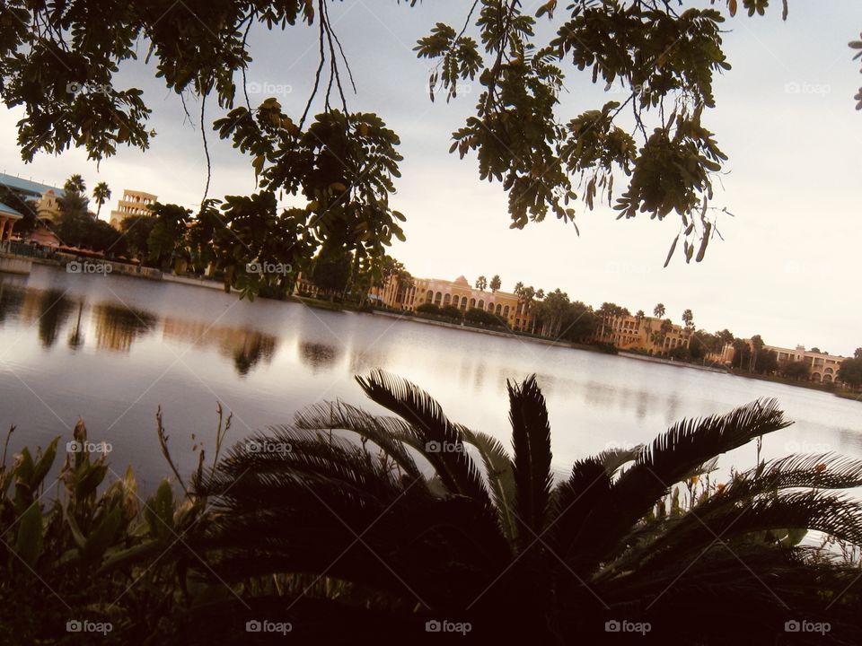 Taking gorgeous outdoor photos in beautiful serene marshy area while on nature walk. 