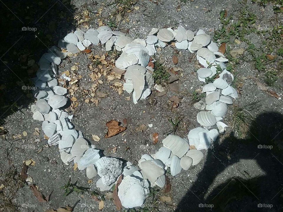 a heart made from shells.