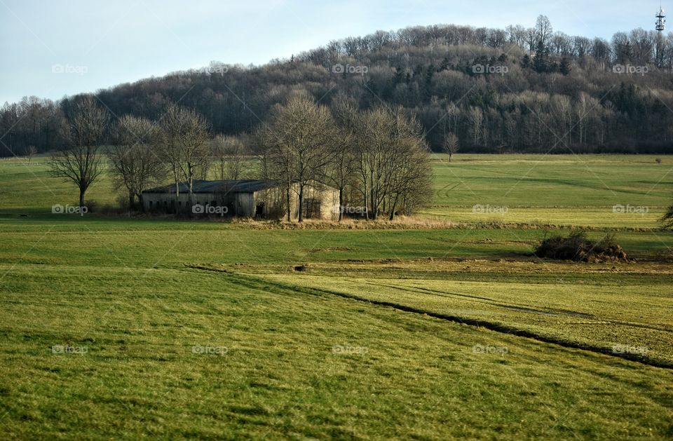 Green fillelds in germany during road trip