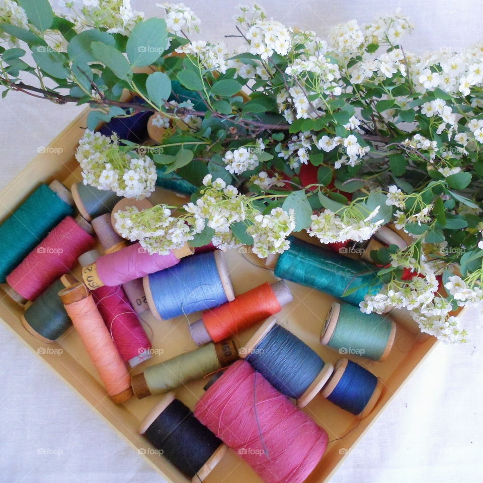 white spring flowers and multi-colored thread for sewing on a white background