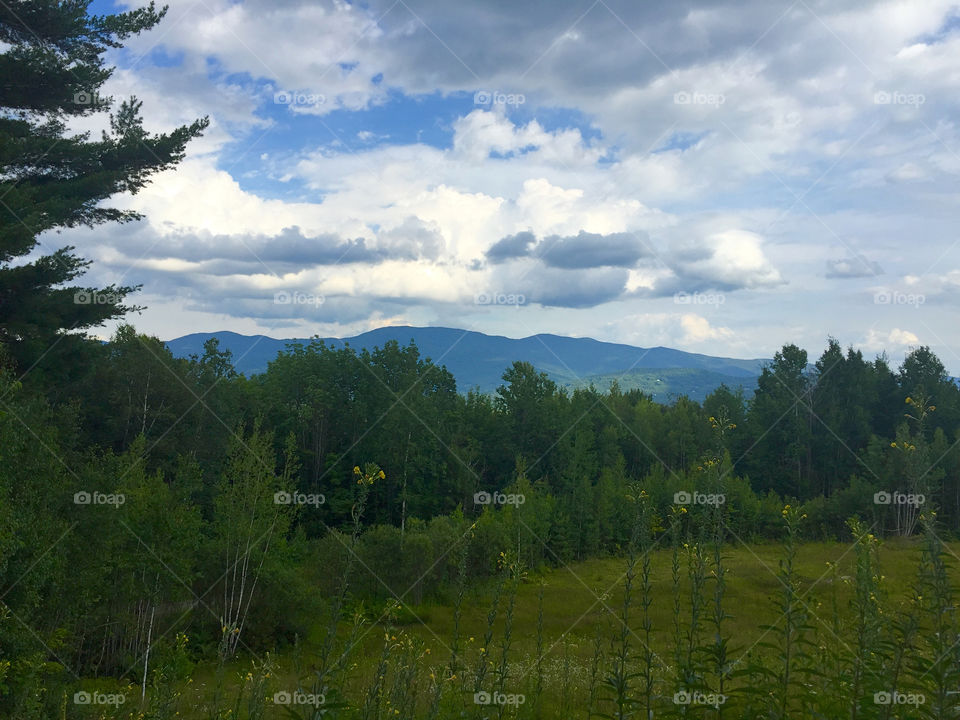 Vermont View