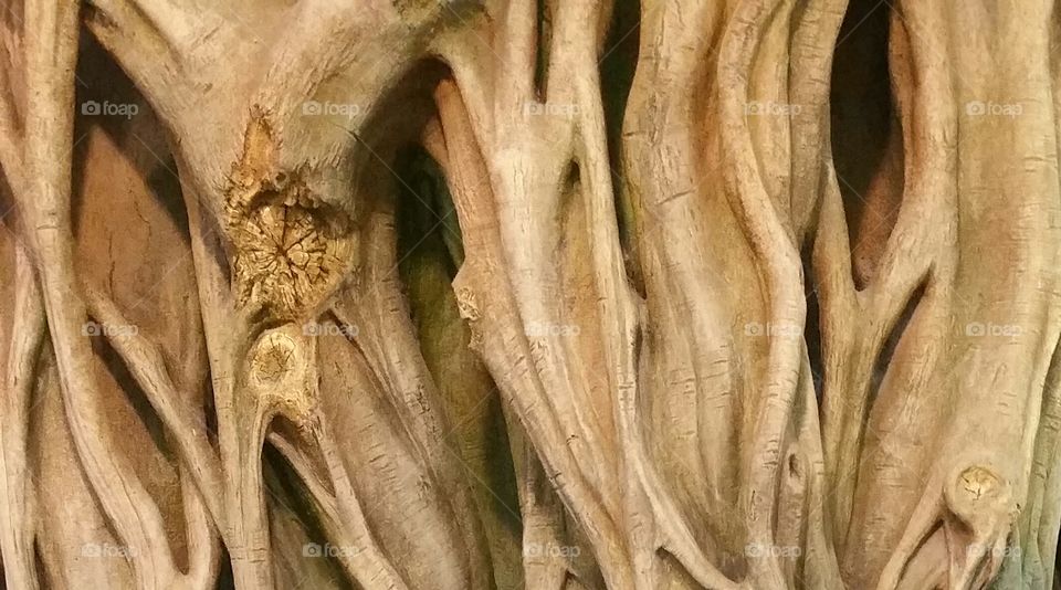 Tree trunk closeup