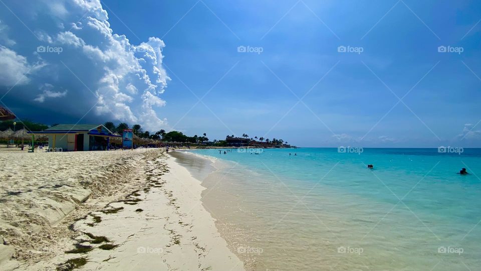 Aruba beach in a sunny day in paradise