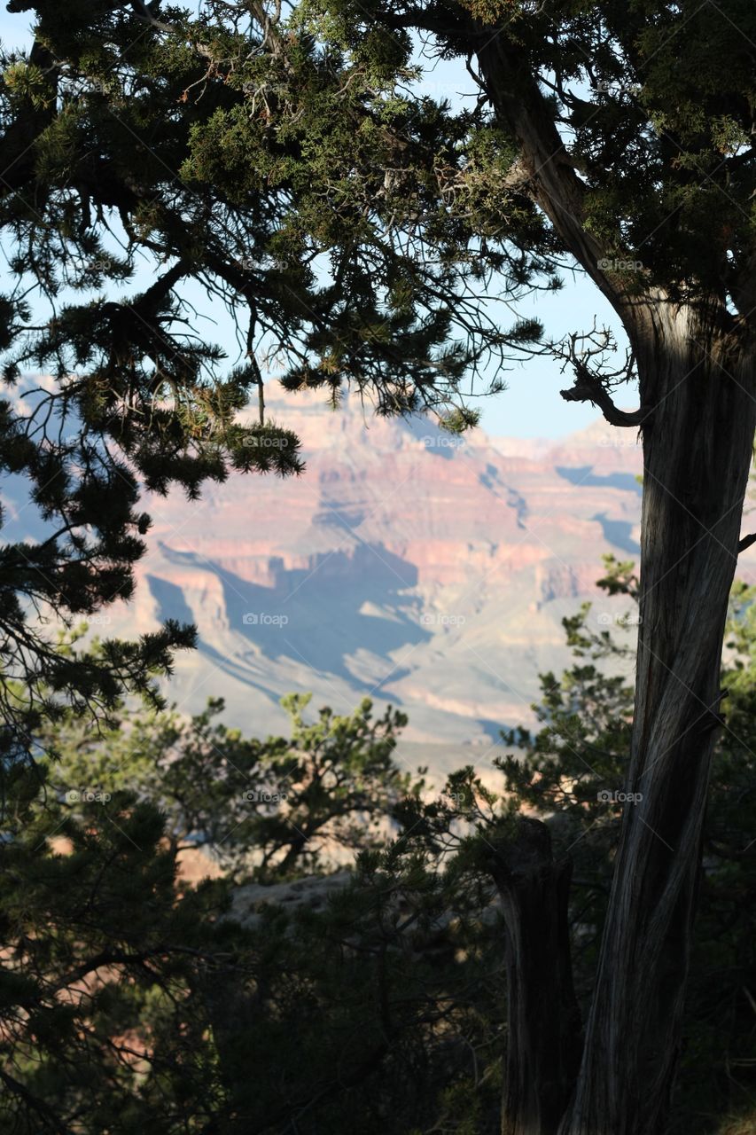 view over the grand canyon