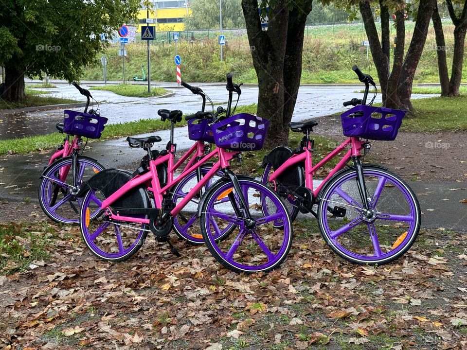Colourful electric bikes 