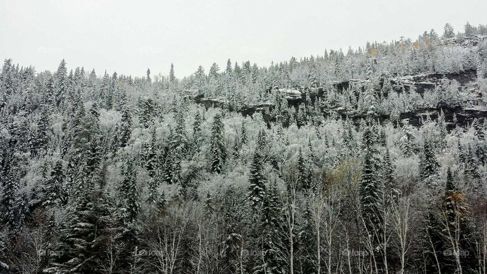 A mountain of pine trees and others covered in snow in the country