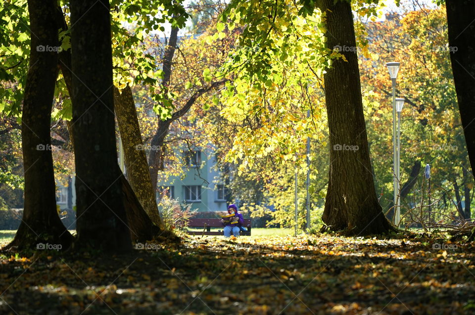 In the park