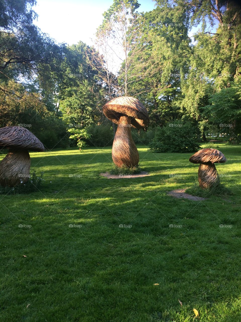 Mushrooms Artwork