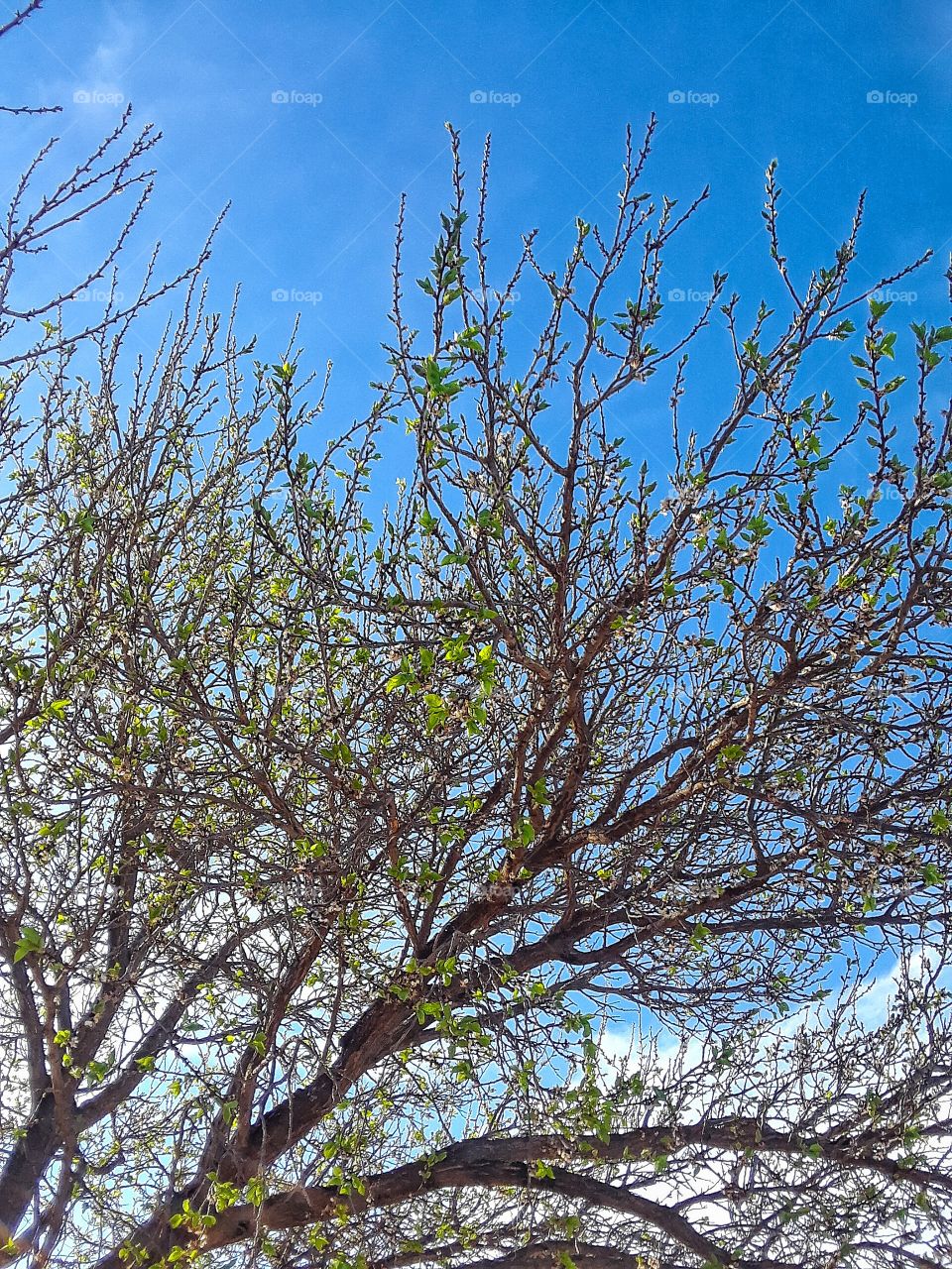 West Texas Spring 😁