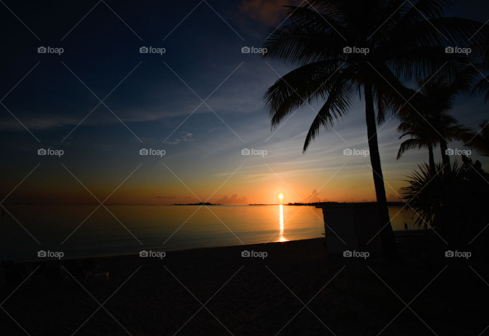 Bahamas Beach Colorful Sunrise Palm Tree Silhouette 