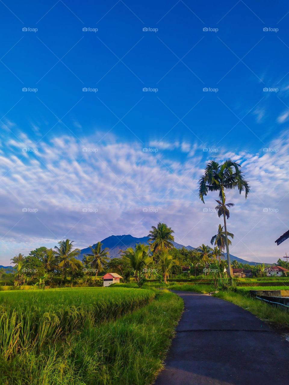 Beautiful countryside with a backdrop of Mount Galuunggung, Tasikmalaya Regency, West Java, Indonesia.  Taken on Sunday 5 December 2021.