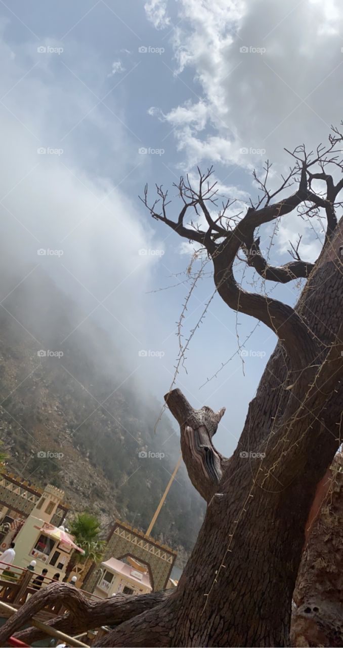 🥶🌧all the time a weather city of albaha