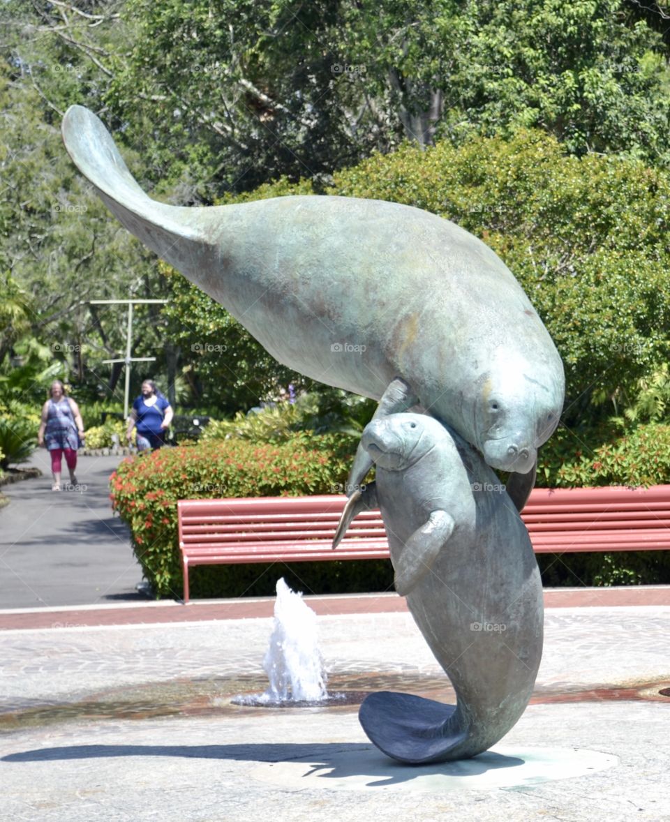 A sculpture of two manatees with small fountain
