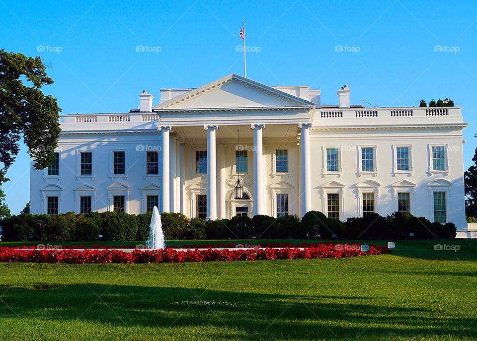 White house