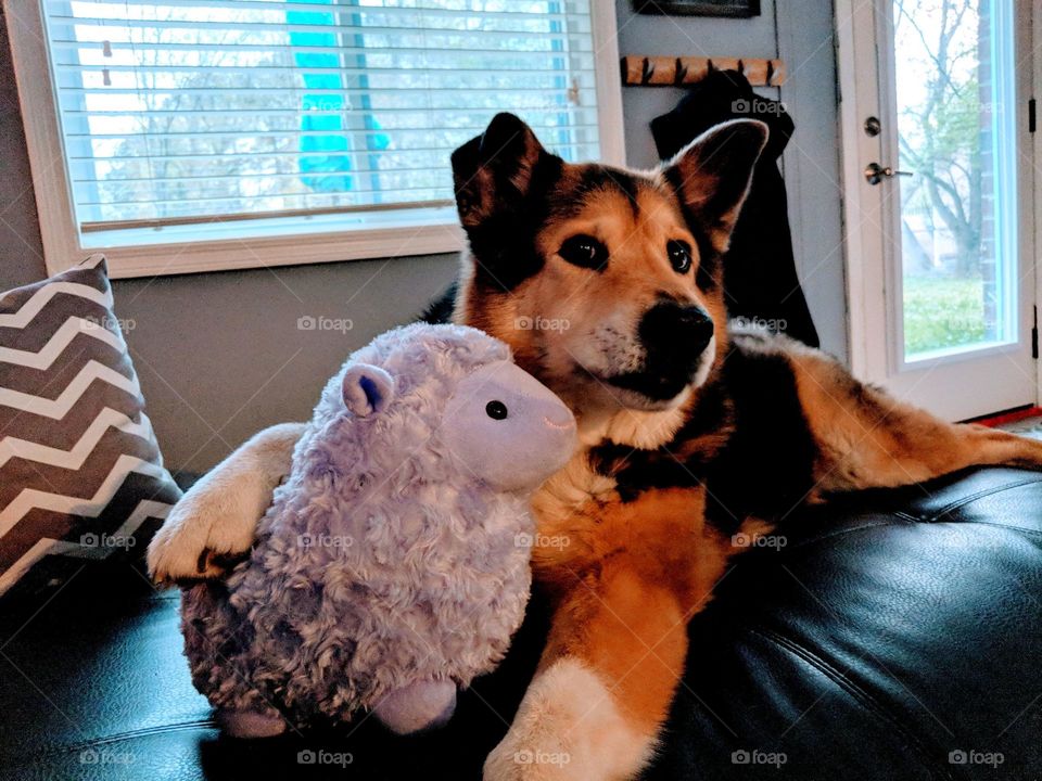 Sophie hugs her sheep. She loves soft stuffed animals- they always help her feel better! 