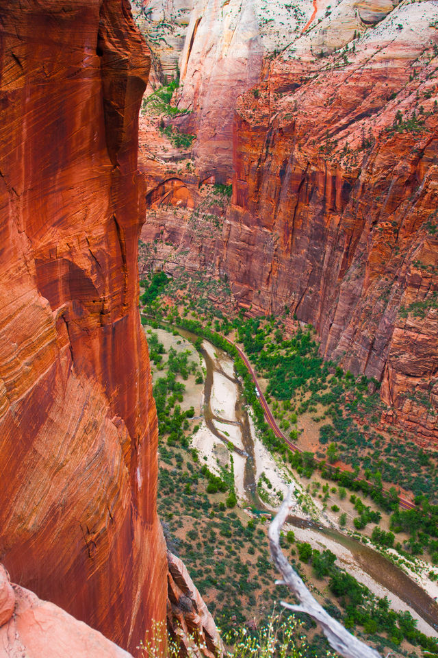 Red rock cliff in Zion national park,USA