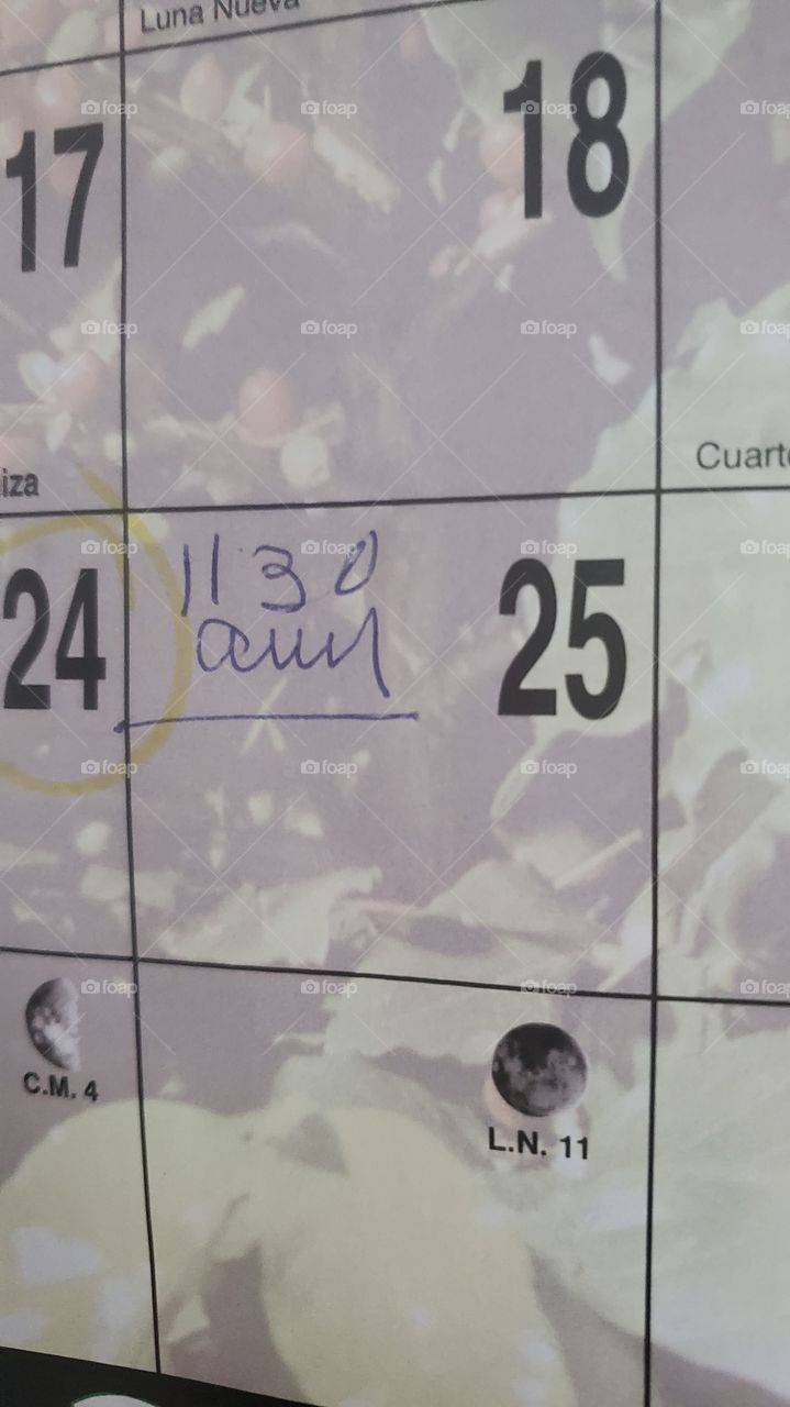 calendar