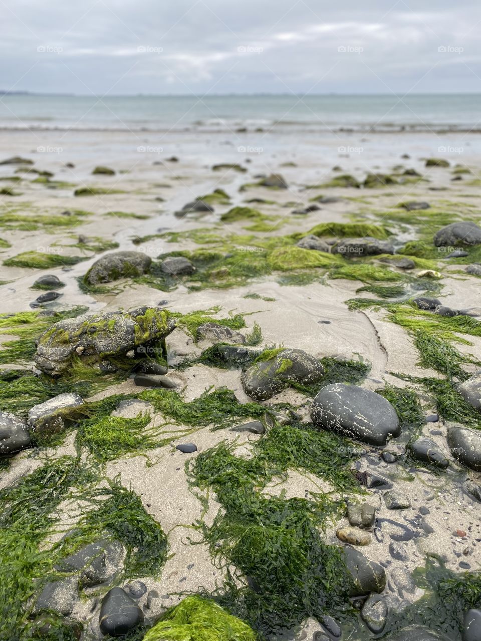 Landscape of the sea 