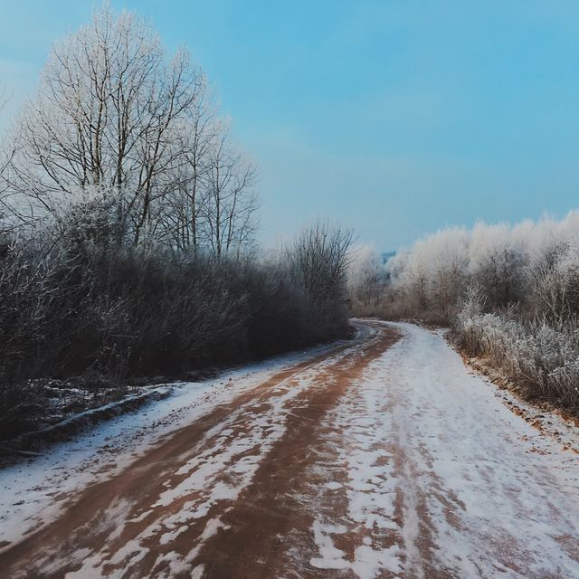 winter