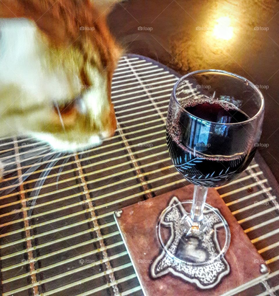 Kitty Happy Hour