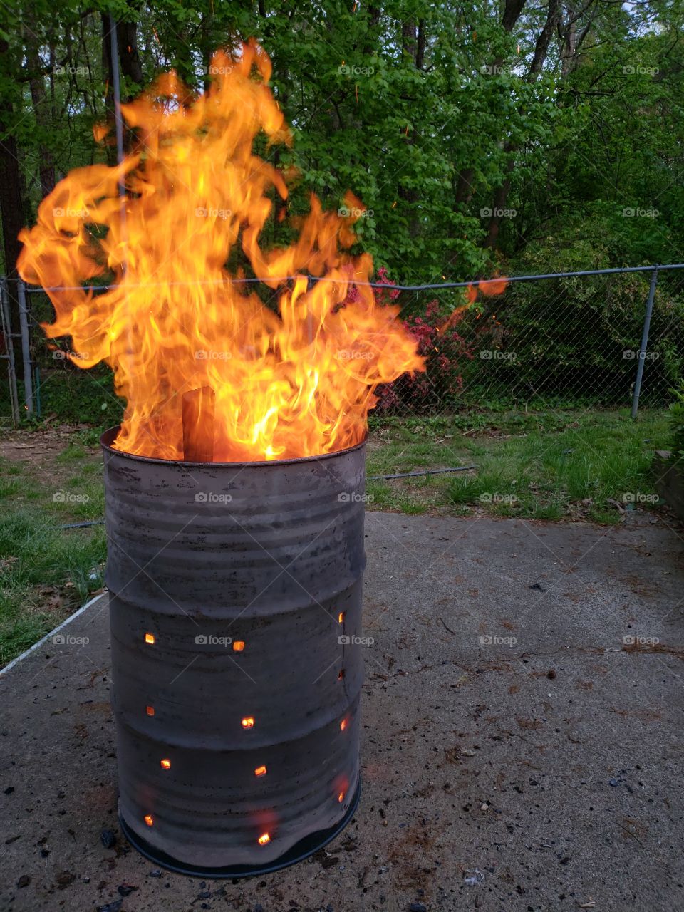 barrel leaf burning