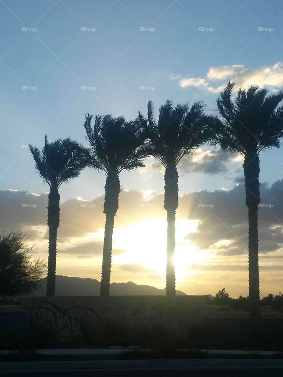Tall Beautiful Palms, 
With Their Leaves , Flowing
Arizona Sunset, Brightly Glowing
Capturing , with a Peaceful Calm 
Thankful to have My Phone 
With a Camera , I Had a Happy 
Heartfelt Sigh , Yes, My Kodak
Moment Has , Finally, Arrived