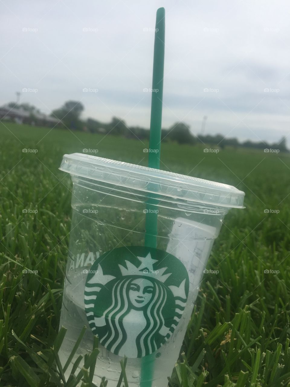 Starbucks water