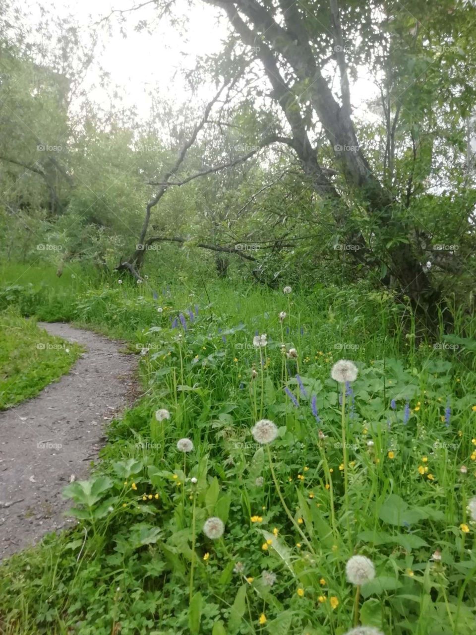 Рудник воркута